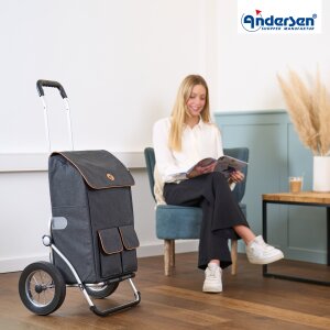 Andersen Royal Shopper IPEK Ma Fahrradanhänger 25 cm Metallspeichenrad